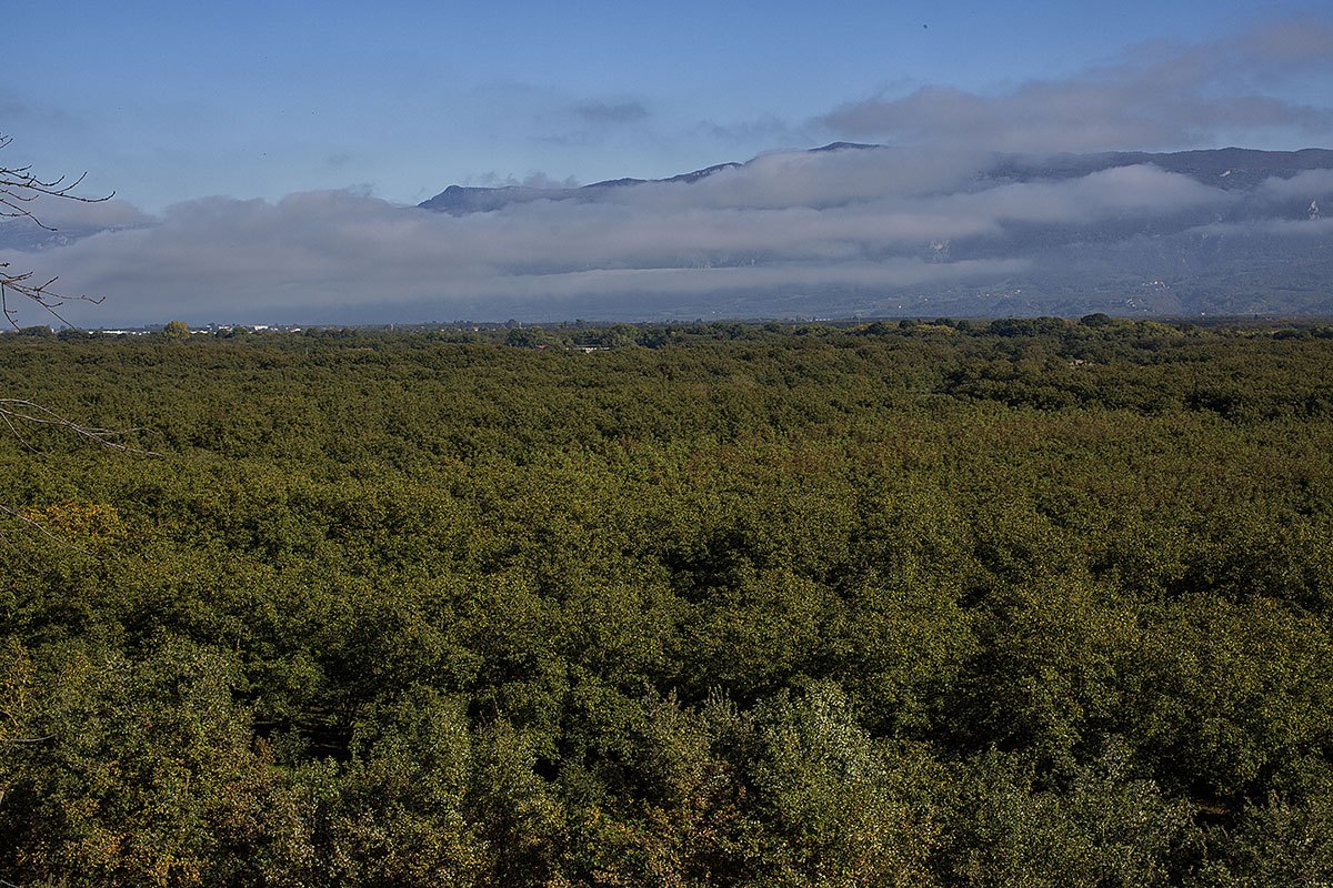 Paysage