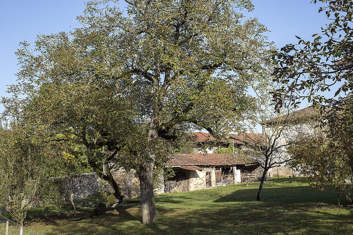 Paysage